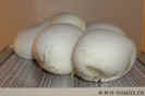 gelege_balls.jpg (44494 Byte)