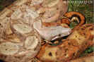 hogbock13.jpg (88450 Byte)