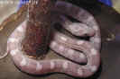 ice02.jpg (69983 Byte)