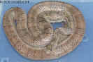 pewter07.jpg (82165 Byte)